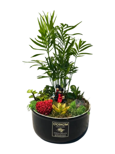 Sevgililer Gününe Özel Terraryum