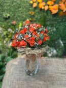 Orange Festival Aranjmanı