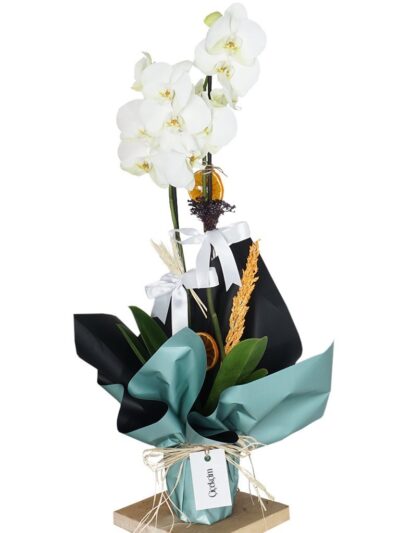 2 Dallı Beyaz Orkide