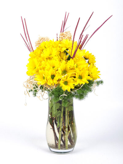 Cam Vazoda Sarı Papatyalar