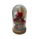 Fanusta Yapay Terraryum