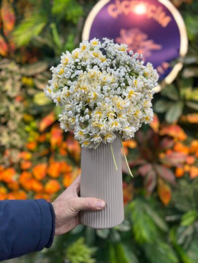 Vazoda Nergis Aranjmanı