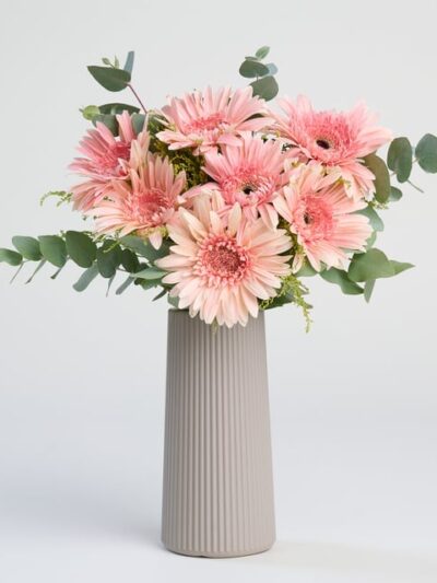 Bej Çizgili Vazoda Pembe Gerbera Çiçekleri