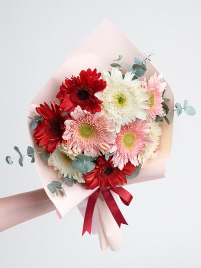Pudra Bukette Kırmızı Pembe ve Beyaz Gerberala