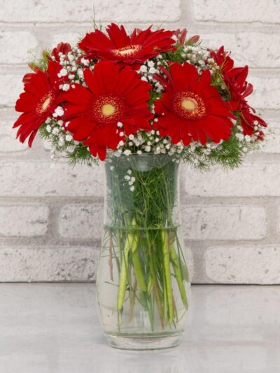 Vazoda Kırmızı Gerberalar