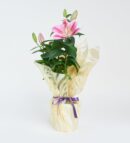 Leopar Buketli Beyaz Beton Saksıda Pembe Lilyum