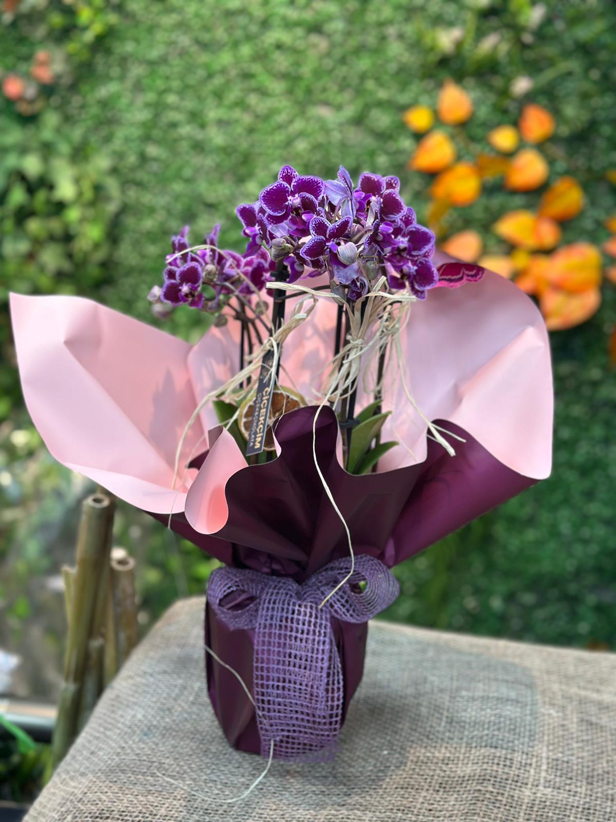 Çerkezköy Çiçek Siparişi | Çerkezköy Çiçekçim