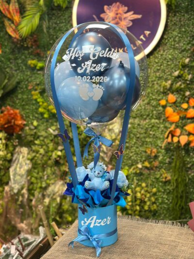 Hoşgeldin Bebek Mavi