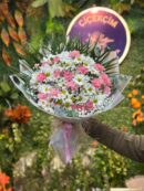 Pembe Karanfil Beyaz Papatya Aşkı