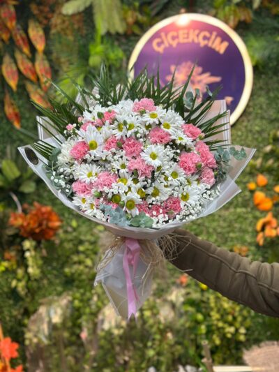 Pembe Karanfil Beyaz Papatya Aşkı