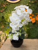 Yapay Çift Dallı Beyaz Orkide