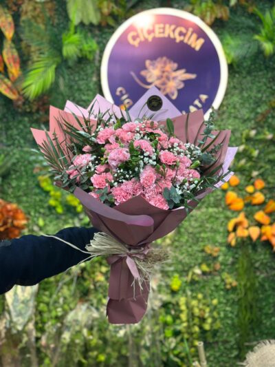 Pembe Rüya Ada Karanfili